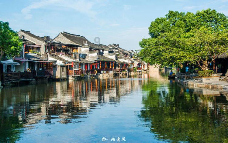 救援花栗鼠